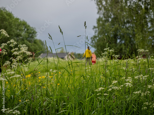 Fototapeta Naklejka Na Ścianę i Meble -  Summer Meadow with People Walking in Background
