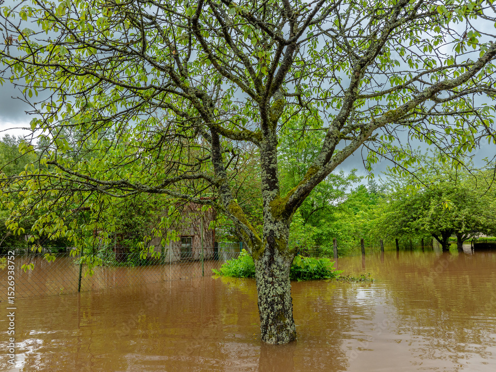 Obraz premium Überfluteter Garten