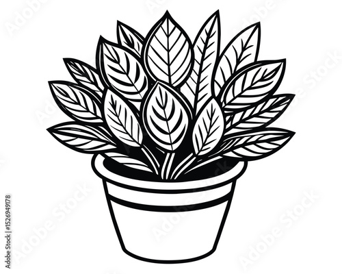 Elegant Potted Plant Line Art Simple Houseplant Illustration