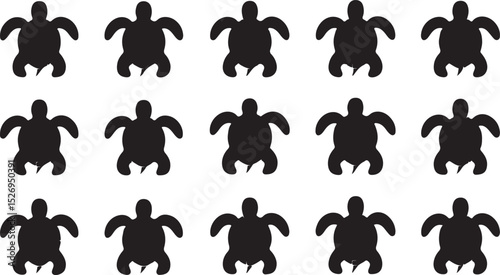 This is a Turtle