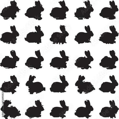 This is a Rabbit