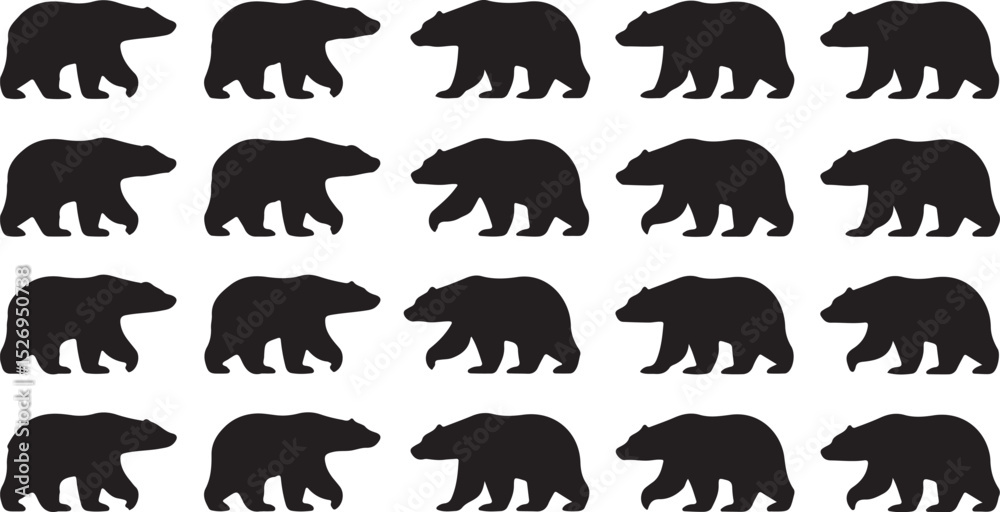 Obraz premium This is a Polar bear