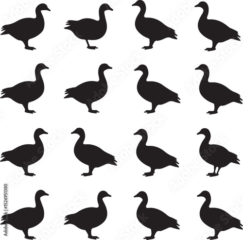 This is a Goose