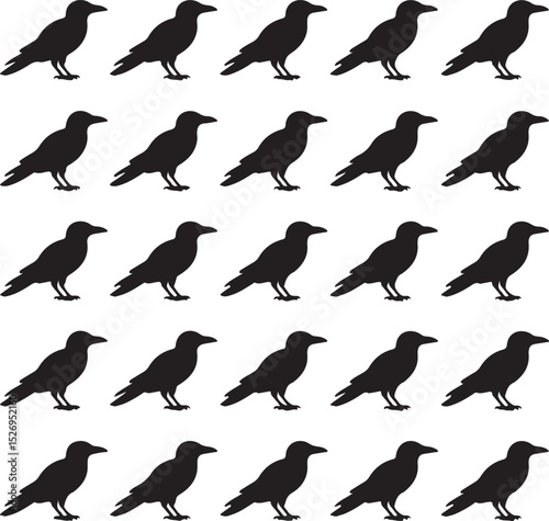 This is a Crow