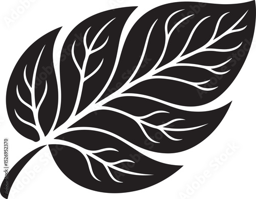 Ornate Black and White Leaf Design
