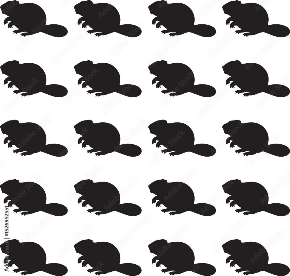 Fototapeta premium This is a Beaver