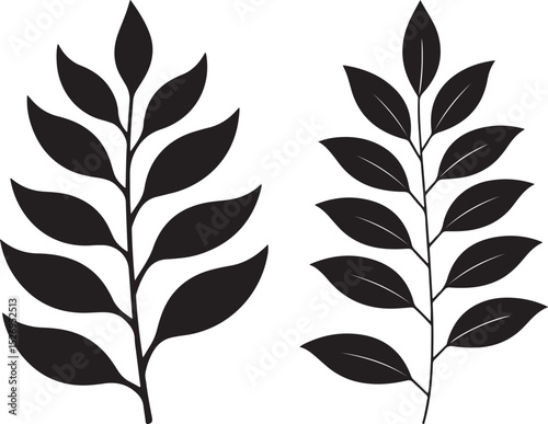 Stylish black and white leaf branch silhouettes.