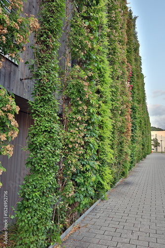 Begrünte Holzfassade im Stadtteil Vauban in Freiburg
