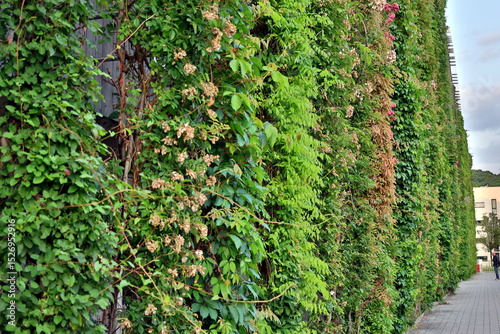 Begrünte Holzfassade im Stadtteil Vauban in Freiburg