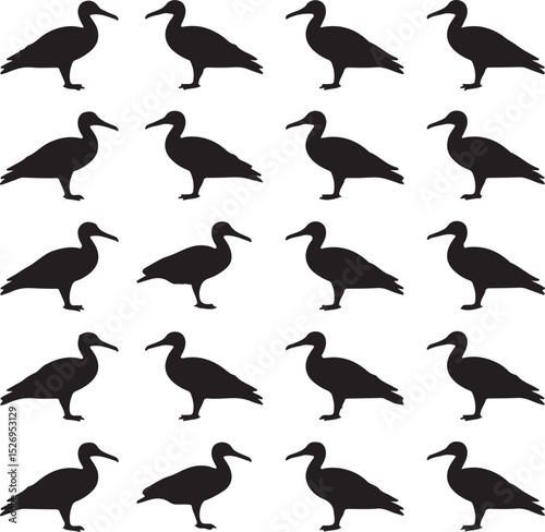 This is a Albatross