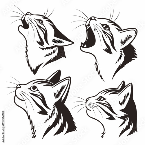 cat head vector