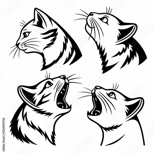 cat head vector