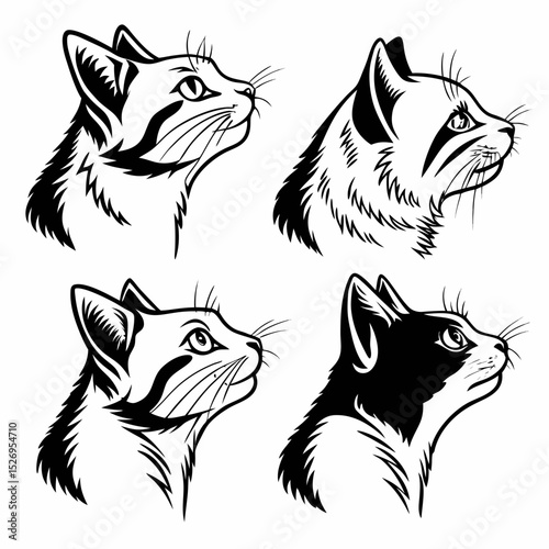 cat head vector