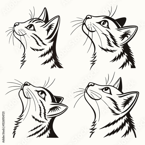 cat head vector