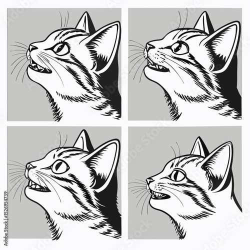 cat head vector