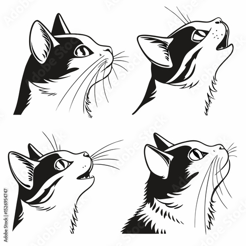 cat head vector