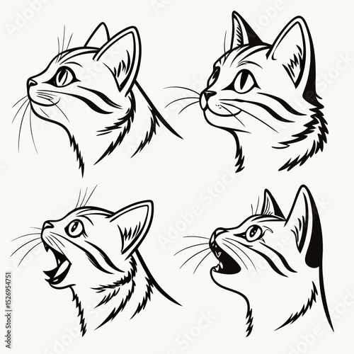 cat head vector
