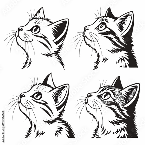 cat head vector