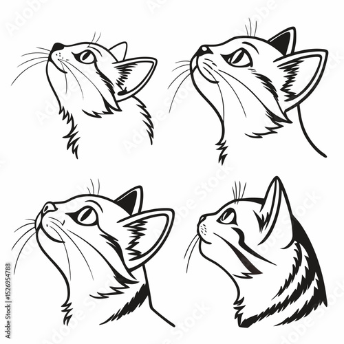 cat head vector