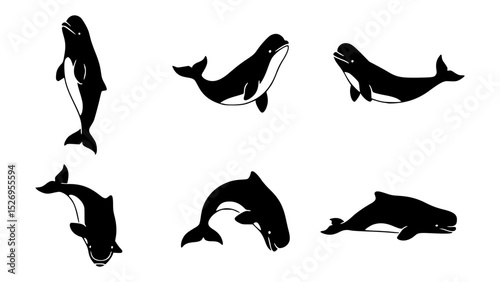 Six black and white illustrations of a dolphin, each in a different pose. The dolphins are shown swimming, jumping, and breaching.