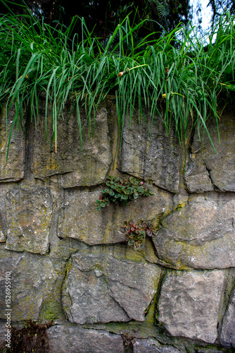 old stone wall with grass