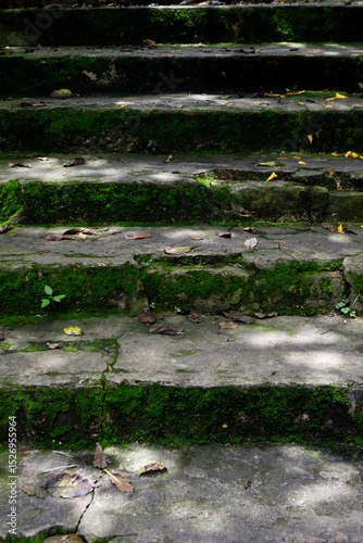 stairs covered with moss