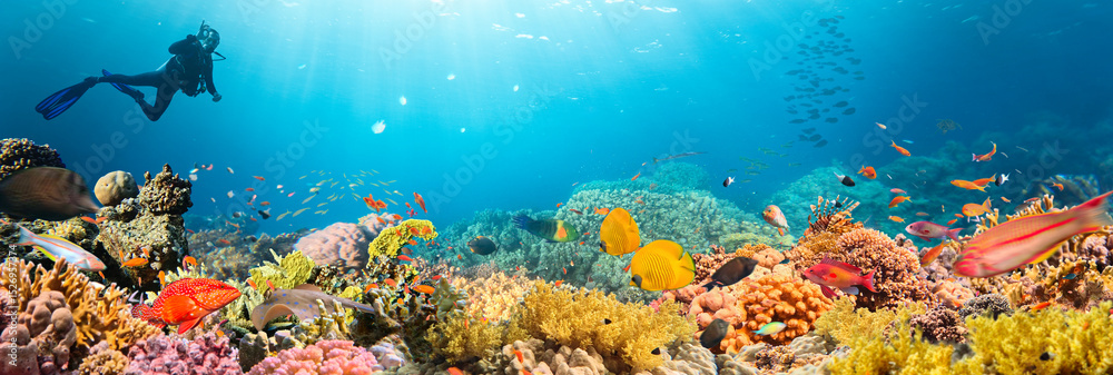 Naklejka premium Scuba Diver Swimming in Deep Sea with Sunrays and Beautiful Coral Reef with Colorful Fishes