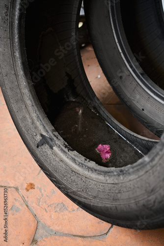 Tire with stagnant water, potential source of dengue or malaria mosquitoes