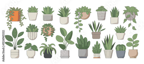 Collection of Various Potted Houseplants Succulents and Hanging Plants in Different Pots Perfect for Adding a Touch of Greenery to Any Design