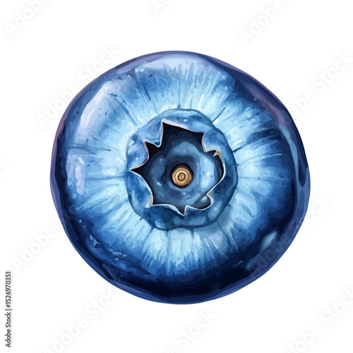 2D flat Blueberry Slice vector illustration, isolated on a white background.