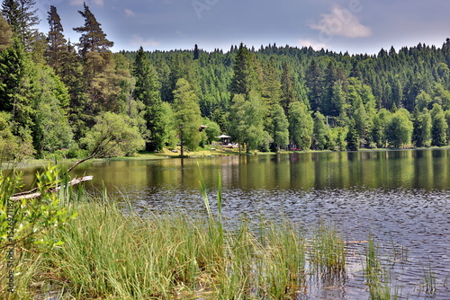Der Windgfällweiher im Schwarzwald im Frühling