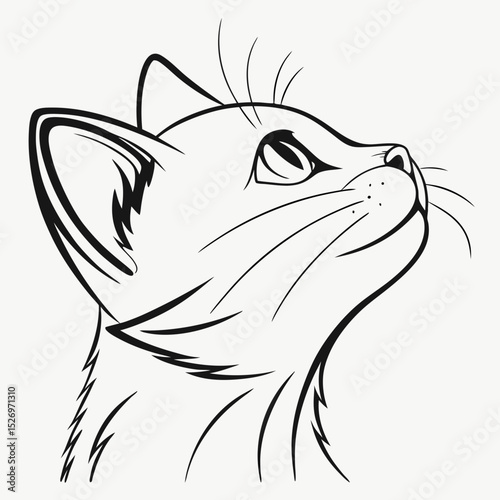 Cat vector 