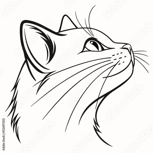 Cat vector