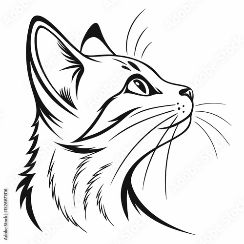 Cat vector