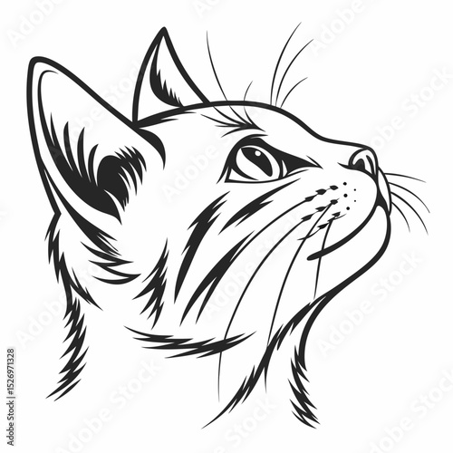 Cat vector
