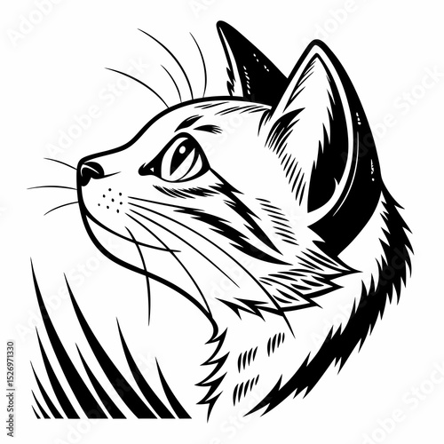Cat vector