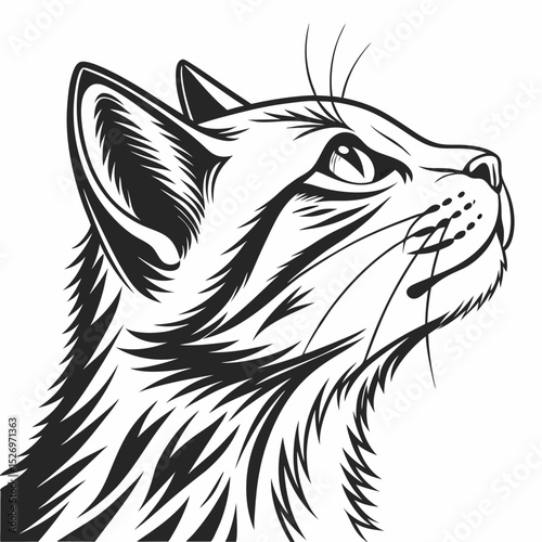 Cat vector