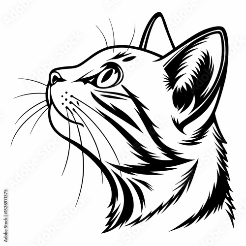 Cat vector