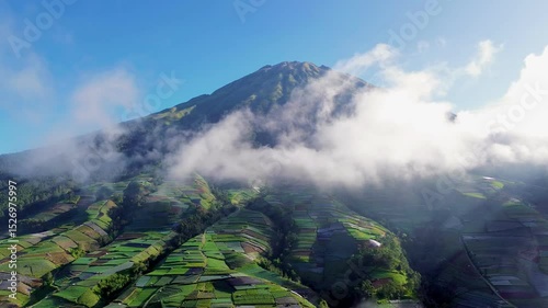 Vegetable fields and the peak of Mount Sumbing are partly covered by clouds in the morning, Dusun Butuh Kaliangkrik, Magelang, Central Java, Indonesia.
