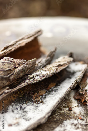 Close-up of weathered tree bark pieces with frost, showcasing intricate textures and natural patterns, resting on a blurred surface, evoking a sense of nature's beauty and seasonal change