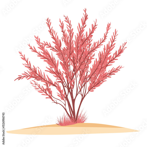 A Tamarisk Tree vector 2D flat illustration, isolated on a white background.