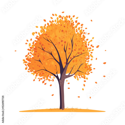 A Sycamore Tree vector 2D flat illustration, isolated on a white background.
