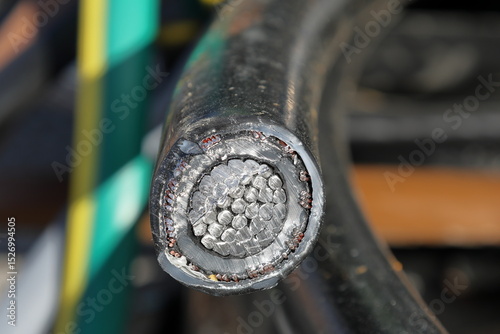 Electricity distribution cables. Core with aluminum. Cut in half. Close up. photo