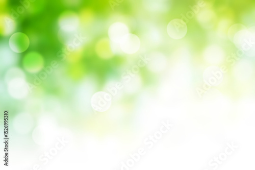 Blurred background : Green abstract of blur nature sunlight with white  free space for design Stock Photo