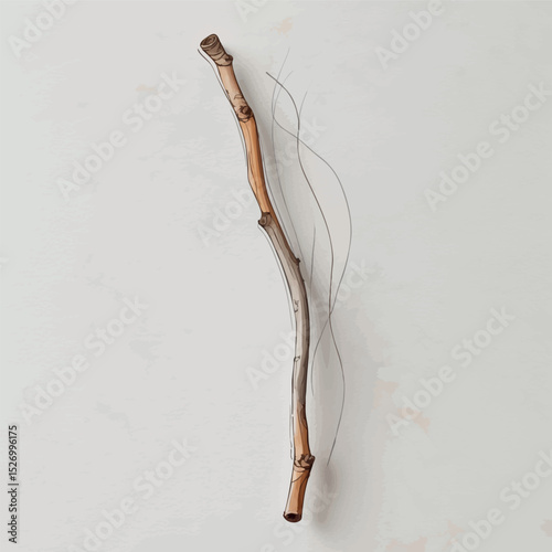 Minimal dried twig vector. Watercolor botanical element with soft neutral tones.