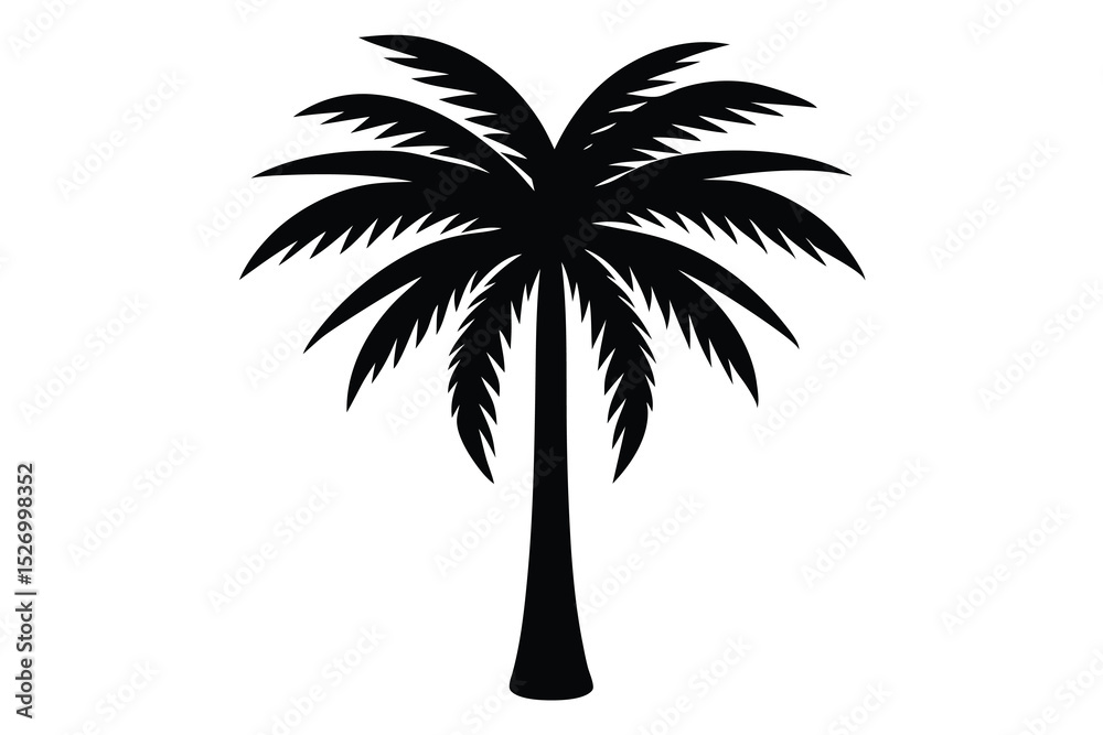 Fototapeta premium Isolated Black Silhouette of a Palm Tree with Broad Fronds on a White Background