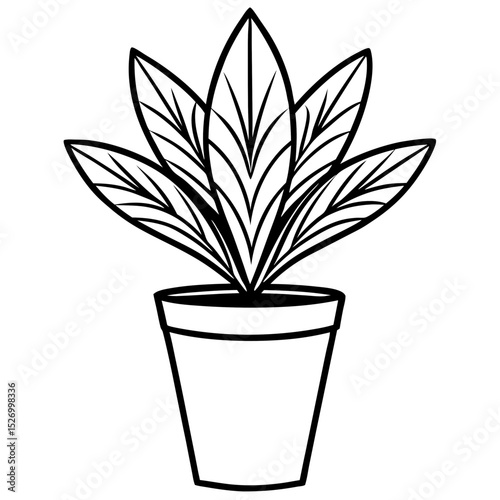 plant in pot