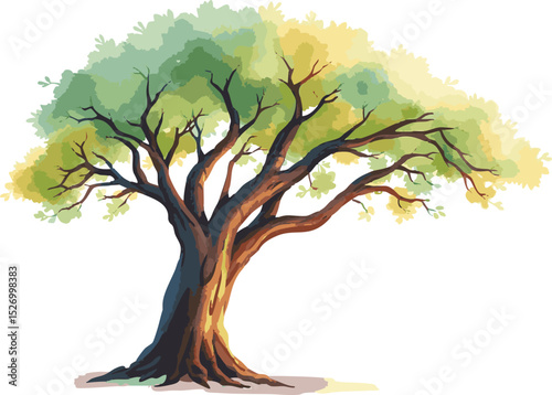 Sprawling tree with a lush crown.
