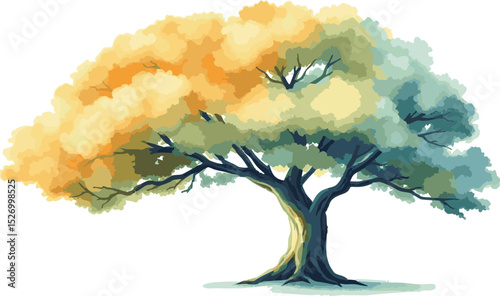 Sprawling tree with a lush crown.