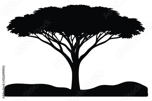 Silhouette of a Broadleaf Acacia Tree on Mound with a Flat Horizontal Base Line